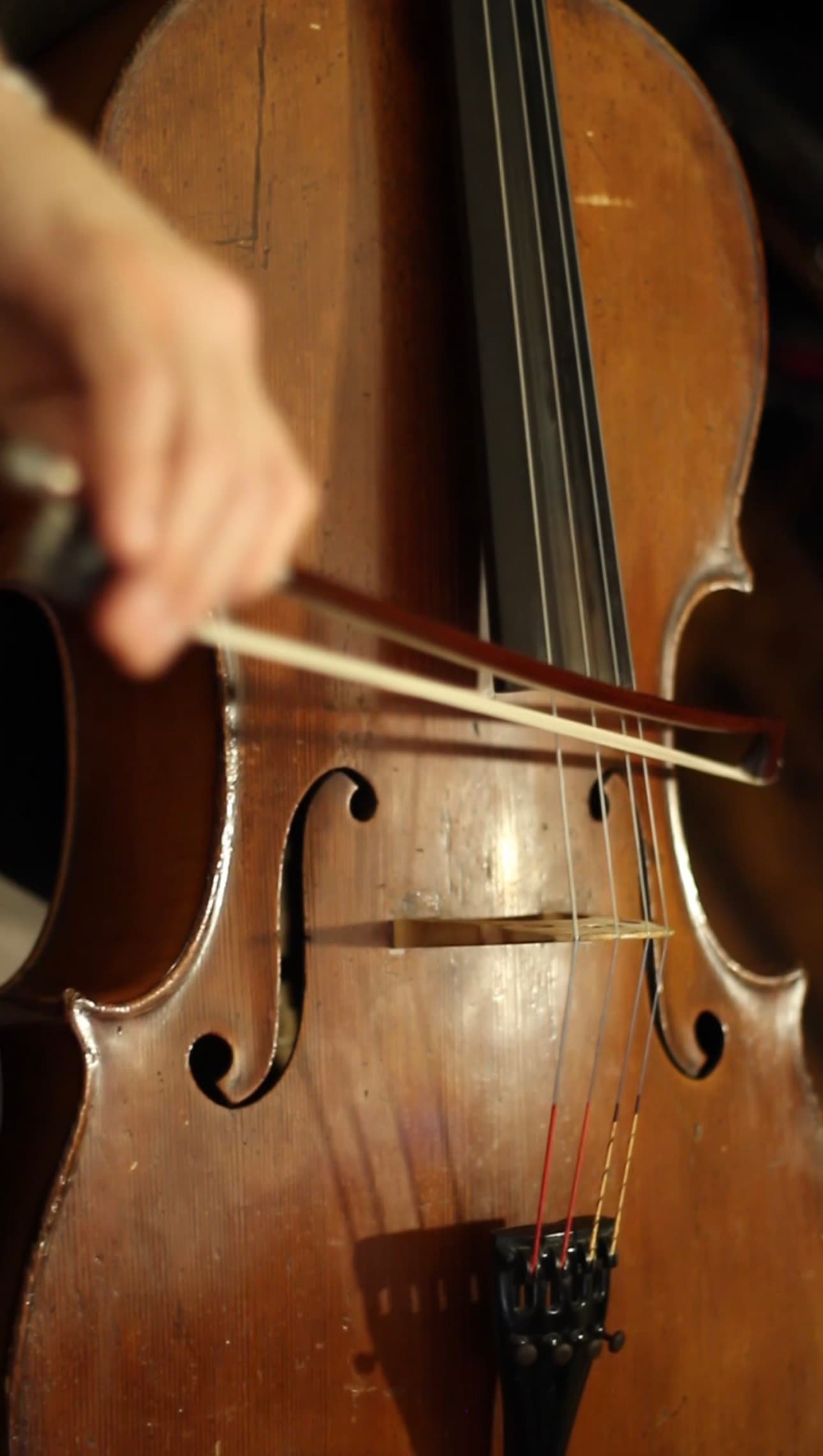 Nahaufnahme: Bogen auf den Saiten von Carlos Ferrers Cello
